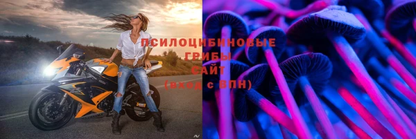 гидропоника Покачи