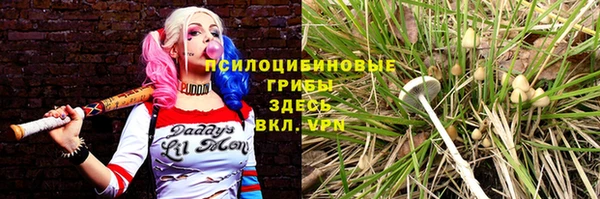винт Балахна