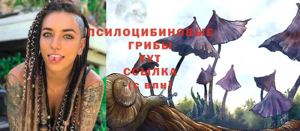 винт Балахна